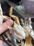鲟食 生鲜小青龙新鲜冷冻龙虾 国产超大青龙虾大虾类节日送礼海鲜水产 1只装（8两/只） 实拍图