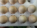 京鲜生富硒鲜鸡蛋30枚 3斤 源头直发 实拍图