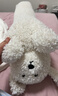 野兽派家居（tbh）微笑樱花比熊犬条形抱枕靠垫客厅办公室抱枕沙发腰枕床头靠枕礼物 实拍图