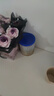 爱他美（Aptamil）卓傲婴儿配方奶粉1段（0—6月龄）300g  小罐装试用装 实拍图