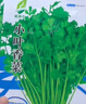 【随种随吃】调料菜种子组合春季四季易种耐热阳台盆栽通种蔬菜 小叶香菜种子1包约1000粒 一包约1000粒 实拍图