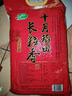 十月稻田 2025年新米 长粒香大米 10斤（东北大米 香米 5公斤/十斤） 实拍图