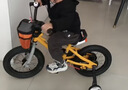优贝（RoyalBaby）易骑儿童自行车单车学生脚踏车男女通用童车3-12岁宝宝经典表演车 黄色 14寸 实拍图