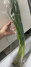 小葱（粗度中等）约200g 实拍图