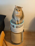 霍尼韦尔（Honeywell）宠物空气净化器吸猫毛除过敏源猫猫搭子 猫毛净化器杀菌消毒除异味KJ360F-C22W 实拍图
