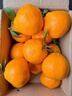 京觅四川春见耙耙柑粑粑柑新鲜水果净重4.5斤单果250g+源头直发包邮 实拍图