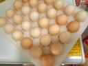 京鲜生富硒鲜鸡蛋30枚 3斤 源头直发 实拍图
