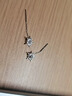 BJYLS999足银雪花流苏耳线养耳洞纯银耳环耳钉女轻奢高级小众耳饰礼物 【999足银】雪花耳线一对 实拍图
