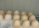 京鲜生【每日鲜蛋】无抗谷物鸡蛋30枚 3.18斤 当日产蛋 当日发货 实拍图