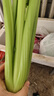 京鲜生山东新鲜大西芹净重4.5斤榨汁现挖芹菜鲜嫩蔬菜 去半叶源头直发 实拍图