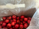 京鲜生 甜红子红山楂 新鲜山楂 3斤手提礼盒装 生鲜水果 实拍图