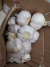 紫白皮蒜水果大蒜超市即食生鲜蔬菜大蒜 [活动]10头 200g 单果3.5-5cm 实拍图