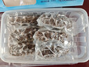冷冻即食海参 500g 500g 实拍图