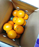 土八鲜江西橙子赣南脐橙新鲜水果赣州脐橙手剥甜橙礼盒 奋进橙9-10斤【单果200g+】 实拍图