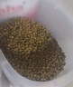 麦富迪狗粮 藻趣儿狗粮成犬粮牛肉螺旋藻 均衡营养2.5kg 实拍图