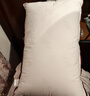 水星家纺枕头枕芯酒店枕头护颈枕头芯家用单个纯棉抗菌可水洗中枕48x74cm 实拍图
