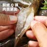 鱼来渔旺厄瓜多尔白虾精品大虾净重2.2斤节日礼盒送礼源头直发 实拍图