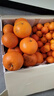 京鲜生 广西优级沃柑 净重5斤单果110g起 生鲜桔子水果年货礼盒 实拍图