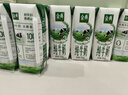 伊利金典纯牛奶整箱 250ml*16盒 3.6g乳蛋白 年货礼盒装 实拍图