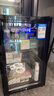 先科（SAST）冰吧冷藏柜 欧式恒温红酒柜办公室酒店家用电冰箱迷你小型单门电竞茶叶保鲜柜展示留样饮料药品柜 90升 黑胆（全冷藏保鲜+蓝光灯+带锁） 实拍图