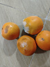 集南鲜 赣南脐橙 江西橙子新鲜现摘水果脐橙时令生鲜水果甜橙 水果礼盒 彩箱10斤特级橙  单果220g+ 净重9斤 推荐 实拍图