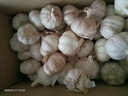 京鲜生山东金乡大蒜带皮新鲜干蒜 净重5斤单果5-5.5cm 源头直发包邮 实拍图