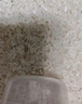 稻花翁田园香米20斤 当季新米 南方长粒米籼米 湖北特色大米 实拍图