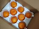 京觅浙江台州涌泉蜜桔 净重2.5斤 单果50mm+ 橘子水果礼盒 源头直发 实拍图