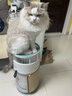 霍尼韦尔（Honeywell）宠物空气净化器吸猫毛除过敏源猫猫搭子 猫毛净化器杀菌消毒除异味KJ360F-C22W 实拍图