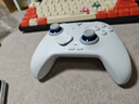 飞智冰原狼4多模版无线游戏手柄 类xbox 力调节摇杆双切扳机 switch电脑PC手机steam体感NS 丝之歌 实拍图