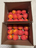 京鲜生 四川春见耙耙柑 净重5斤 单果180g起 生鲜水果柑橘桔子年货礼盒 实拍图