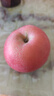 京鲜生 烟台红富士苹果 净重10斤 单果220g以上 水果礼盒 实拍图