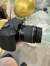 佳能（Canon）EOS 2000D+18-55mm IS II 套机 单反相机 高清性价比优选 初学者学生单反入门 微单 晒单送赠品 实拍图