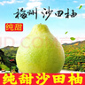柚满园【纯甜不酸】梅州沙田柚子南福金柚正宗甜碌柚新鲜水果广东梅县 大果2个带箱4.5-5斤 实拍图