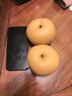京鲜生 莱阳秋月梨冰糖梨 净重10斤 单果250g+ 生鲜水果家庭装 实拍图