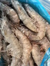 鲜京采 厄瓜多尔白虾 净重3斤/盒 特大号20-30规格   30-45只/盒 实拍图