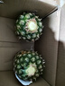 都乐Dole 菲律宾无冠凤梨 巨无霸1只净重2.6斤+  酸甜可口 源头直发 实拍图