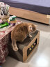 萌嘟星宠 猫抓板猫窝猫玩具猫沙发别墅立式带小球磨爪猫咪用品 猫耳朵款 实拍图