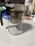 飘逸壶泡茶壶耐热高温玻璃沏茶过滤内胆冲茶器家用茶具套装 飘逸杯500mL1个 实拍图