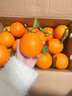 京觅江西赣南脐橙 9斤净重橙子单果180g起年货礼盒纽荷尔水果源头直发 实拍图