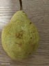 亨迅烟台太婆梨山东梨子啤梨香蕉梨大头梨茄梨软梨新鲜水果生鲜 【热卖推荐】净重4.5斤 香甜软糯|核心产区直发|放软后吃 实拍图