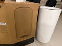 米家小米无雾加湿器3-800 轻音家用卧室办公室6L大容量 800ml/h快速加湿CJSJSQ04ZMZ礼品保湿送女生 实拍图
