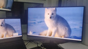 AOC 27英寸2K 新一代高刷护眼办公屏 IPS HDR 6轴调色 每台出厂校色 低蓝光不闪 电脑显示器 Q27G51F 实拍图