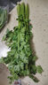【一人食】香菜100g 实拍图