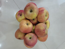 洮小婵新疆冰糖心苹果红富士新鲜水果时令节日礼盒送礼苹果整箱 整箱10斤 精选单果85-90mm 净重8.5斤 实拍图