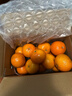 广西武鸣沃柑2025橘子新鲜水果当季一级沙糖蜜橘砂糖柑橘大果 特大果(单果径70mm+) 净重4.5斤 实拍图