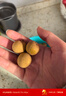 京鲜生泰国进口龙眼 巨无霸金标 净重5斤 果径28mm以上 水果源头直发 实拍图