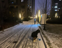 雪中飞【反季清仓】新款百搭时尚休闲斜插式口袋男女同款短款立领羽绒服 岩石灰|8088 L 175/92A 实拍图