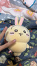 名创优品（MINISO）chiikawa小号站姿公仔玩偶毛绒玩具抱枕生日礼物女友 Usagi乌萨奇 实拍图
