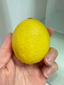 京鲜生 安岳黄柠檬 8粒 单果95g起 生鲜水果 实拍图